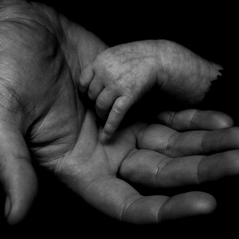 Father's Hands